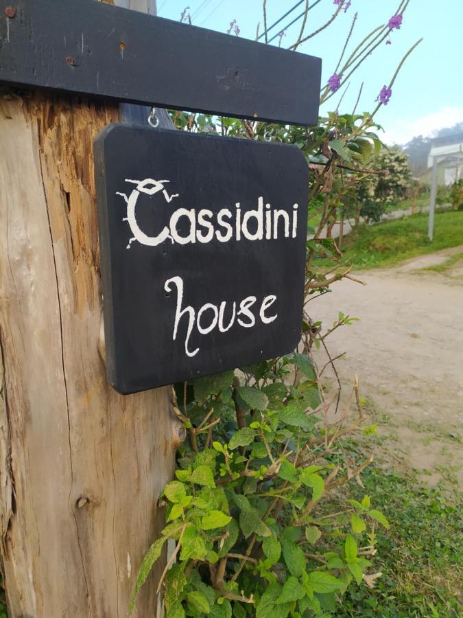 Апартаменты Cassidini House Монте-Верде Экстерьер фото
